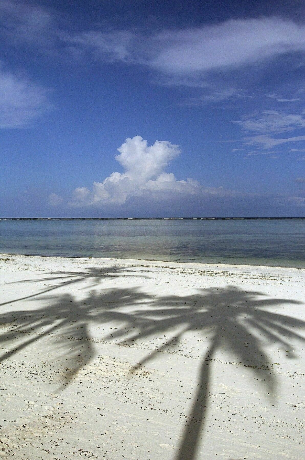 The Palms Zanzibar Hotel Bwejuu Exterior photo